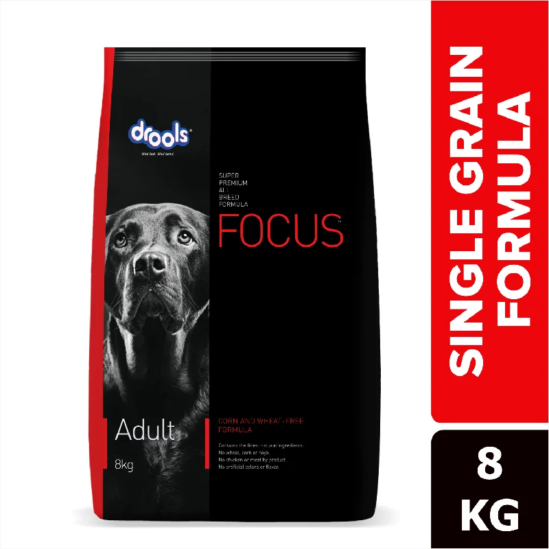 Drools Focus Super Premium Adult Dry Dog Food | Corn & Wheat Free Formula