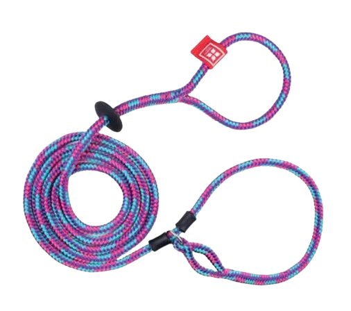 Harness Lead - Reef (Purple/Raspberry/Turquoise) -